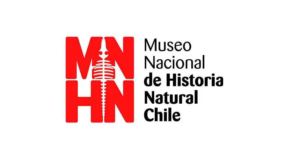 Museo